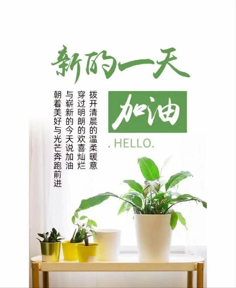 2023年4月6日是什么日子