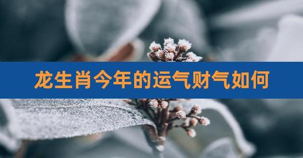 属龙人2021年8月财运财气好吗