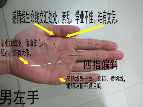 手相算命,从手相看你聪明度有多高?