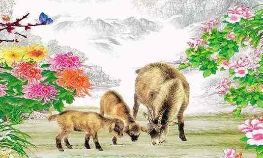 1979年属羊的人婚配:天赐良缘兔马猪