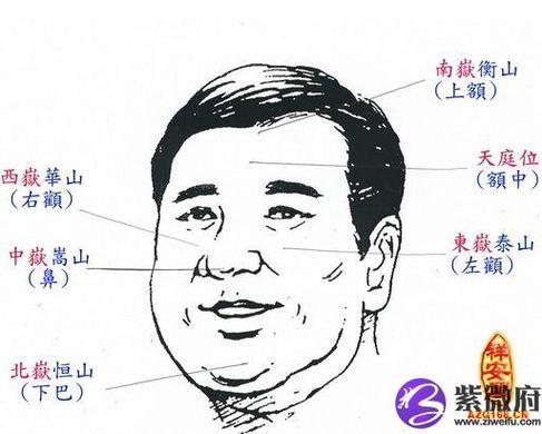 男人面相学 额头分析