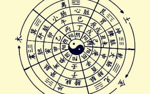 1982年五行属什么