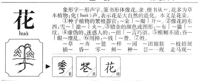花字在名字中的寓意