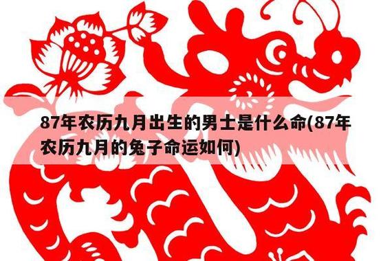 属兔1987年有孤寡命的说法准吗?