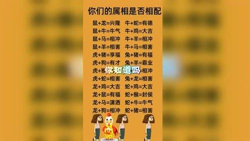 看十二生肖谁才是女汉子的形象