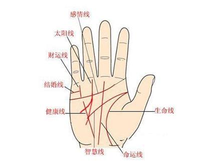 手相太阳线图解