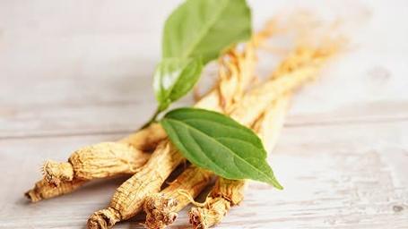 梦见孕妇梦见人参是什么意思