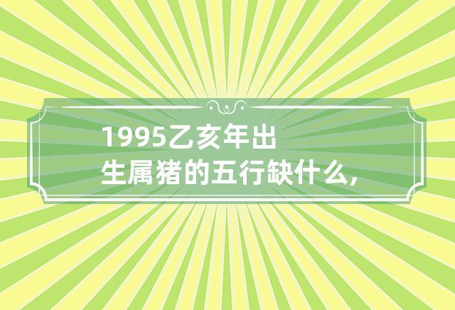 乙亥年是哪一年属什么五行,乙亥年出生的猪命运如何?