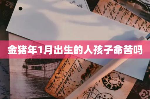 金猪年1月出生的人孩子命苦吗?