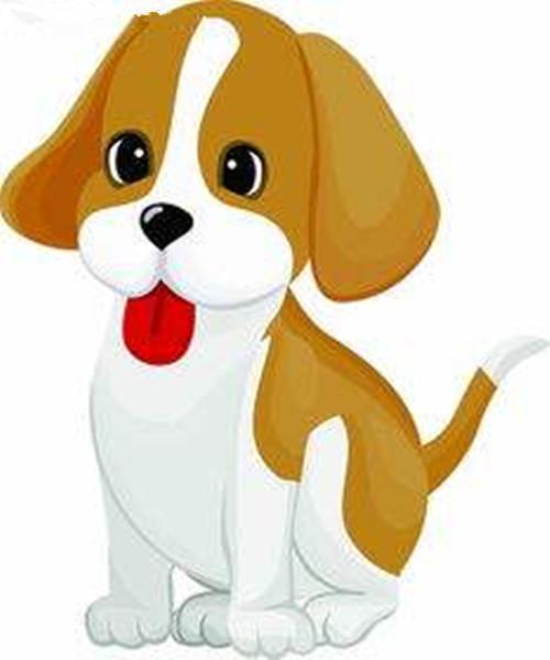 属狗人2019年适合怀孕吗,几月怀孕比较好?