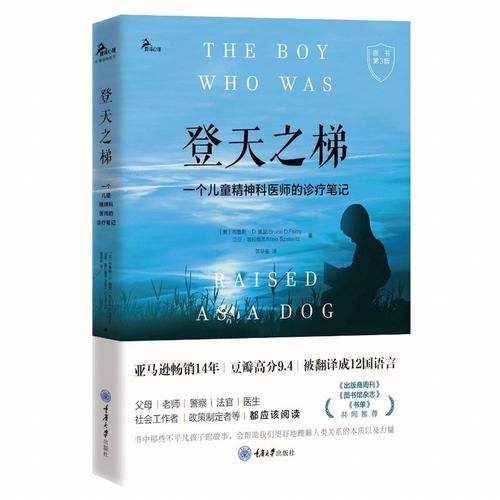 梯子的心理学解析