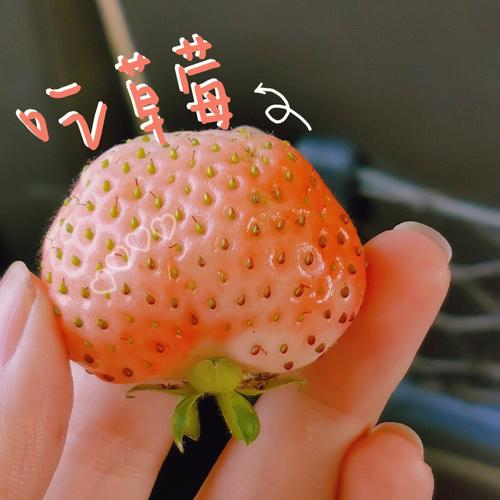 这个春天什么问题会影响你的工作状态？
