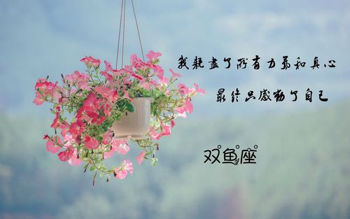 双鱼座男生喜欢的朋友圈