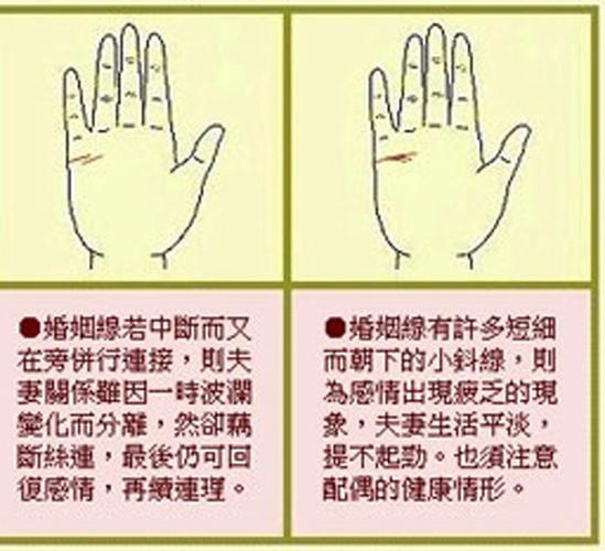 女人的手相看婚姻凶吉算命