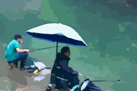 梦见水潭钓鱼