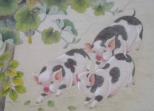 属猪1947年寿命75岁是真的吗