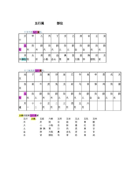 紫字五行属什么