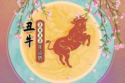 2023年上半年属牛人怎么样