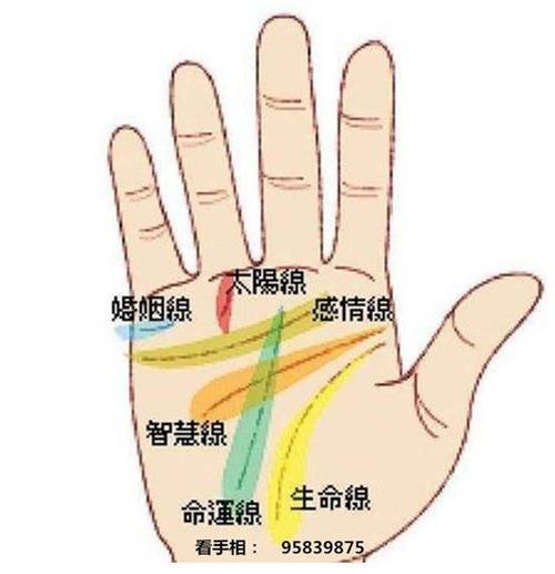 女人左手手相有什么含义