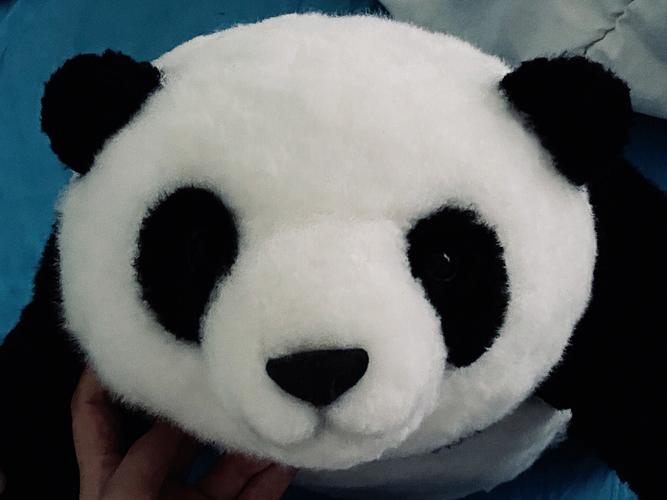 哪些星座女生和大熊猫一样天生好命
