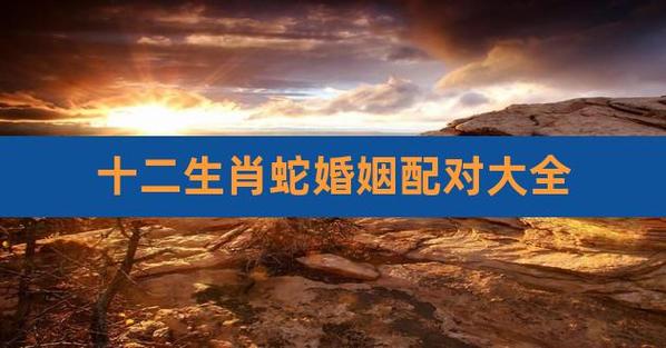 2021属蛇的上等婚配是什么生肖