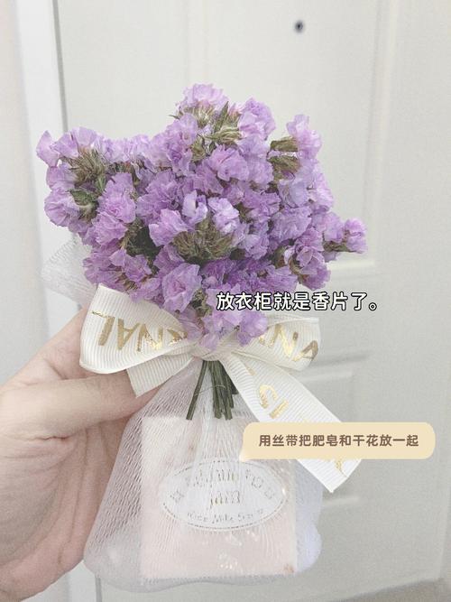 梦见勿忘我怎么回事