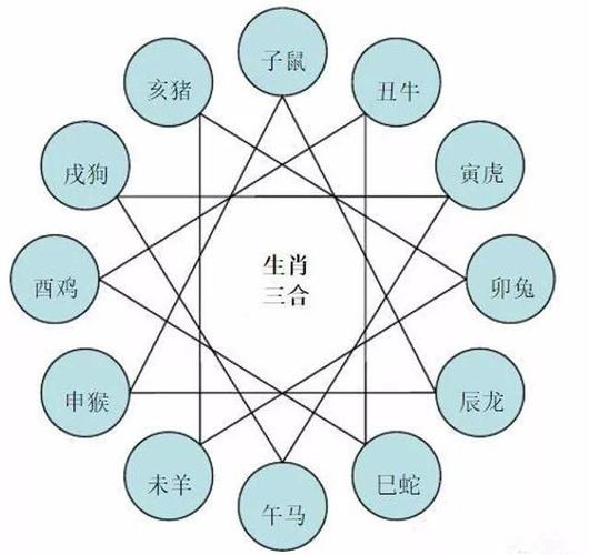 属猪正缘出现在哪年