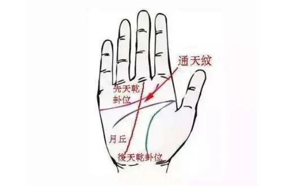 女人手相有通天纹代表什么