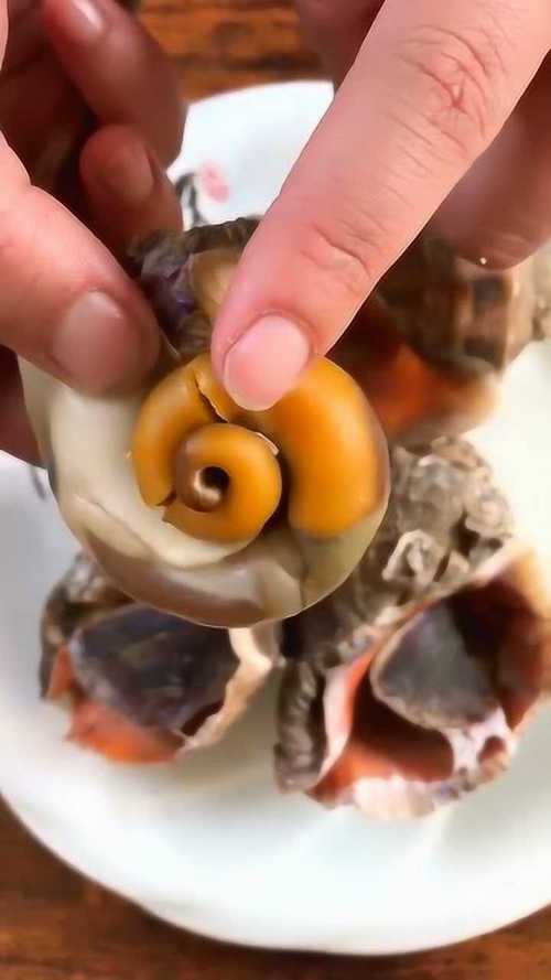 梦见吃海螺 梦见吃海螺丝是什么意思