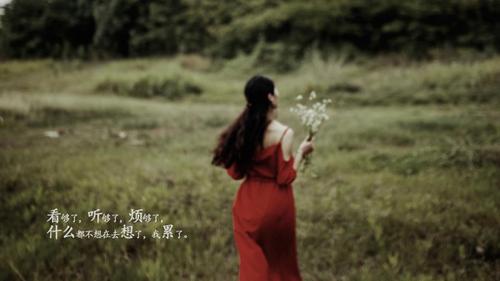 9月开始,该结束的,就干净利落地结束,3星座爱恨清零,聚散随意