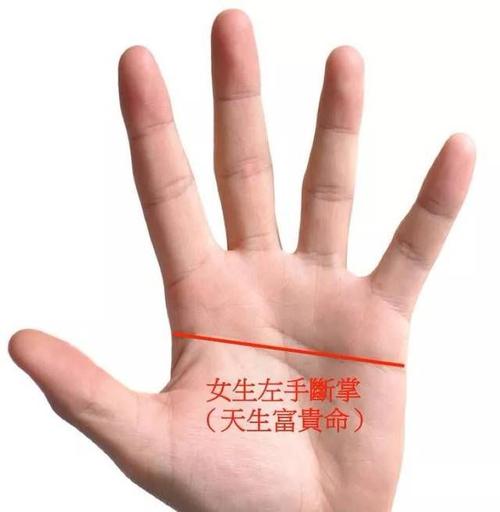 有魅力的女人手相