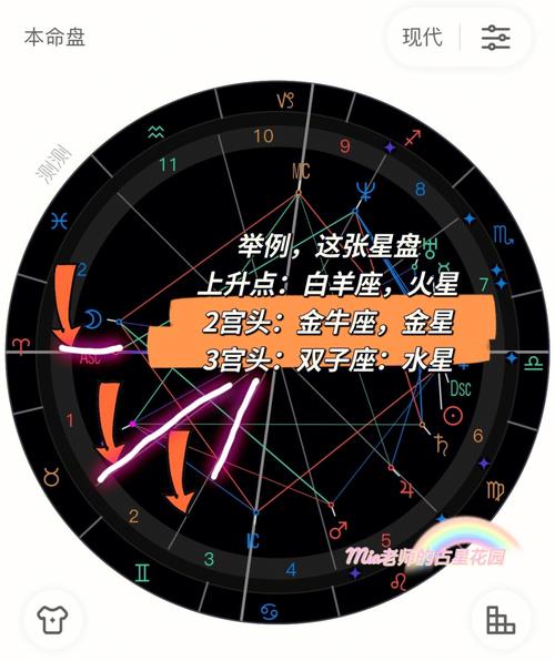 星盘第一宫落在双鱼座,星盘1宫到12宫代表什么