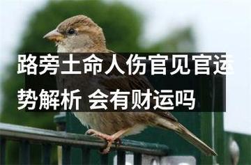路旁土命的人未来十年的财运如何