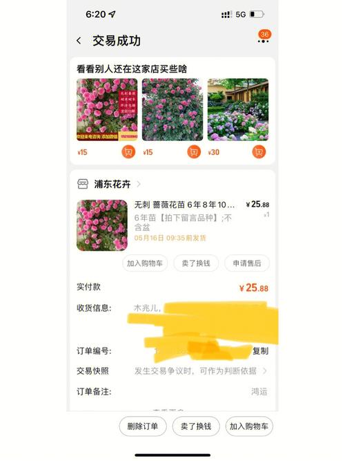 别再傻傻分不清!蔷薇和小白花的区别