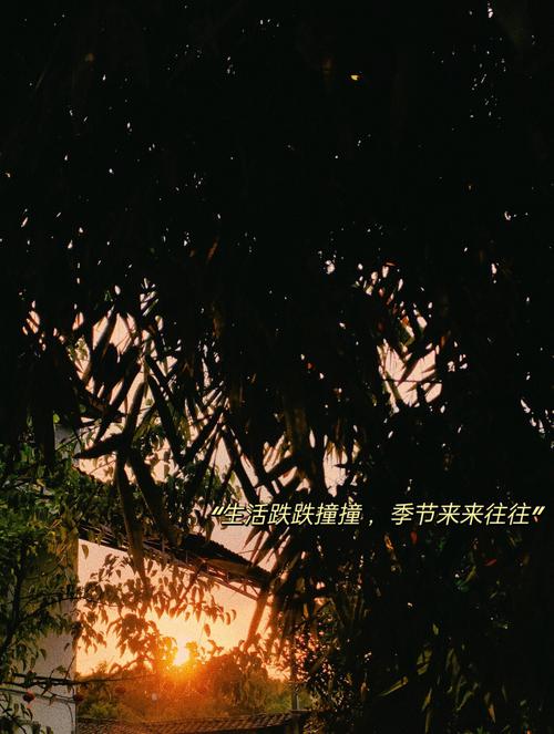 梦见野花,周公解梦梦到野花是什么意思,做梦梦见野花好不好