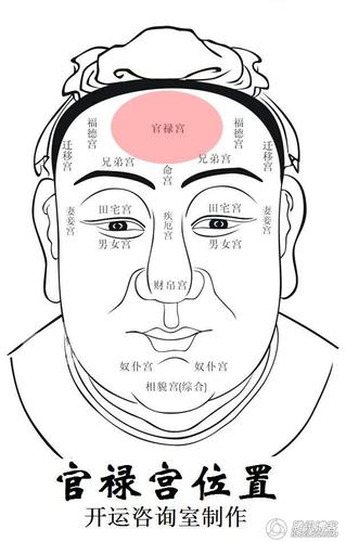 面相看哪些人适合经商
