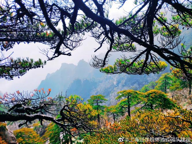 梦见旅游破坏景点