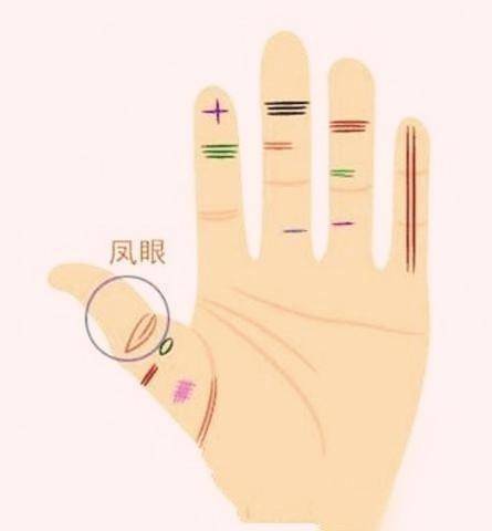 中指向无名指倾斜命运
