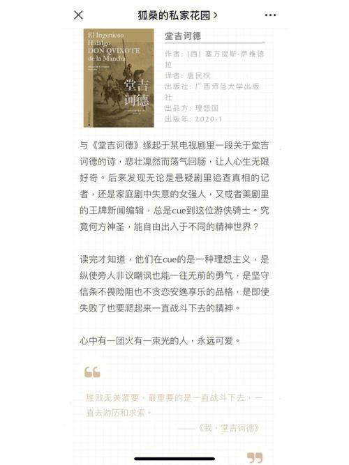 梦见堂吉诃德怎么回事