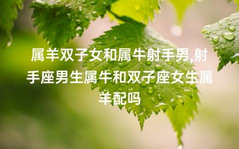 属牛射手座的最佳配对,感情纯粹的他们适合和谁在一起?