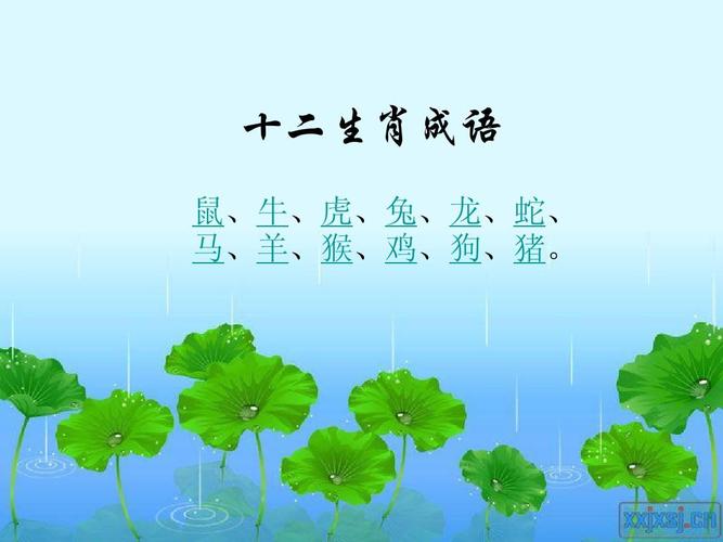 属牛一首歌能循环听多久