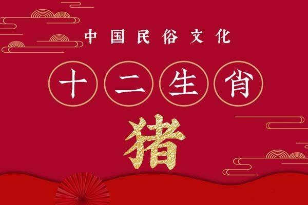 83猪未来十年运势怎么样