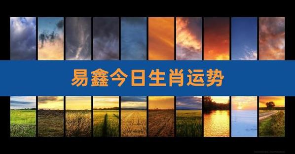 易鑫2019年4月1日生肖运势