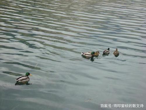 一个月后心泛涟漪