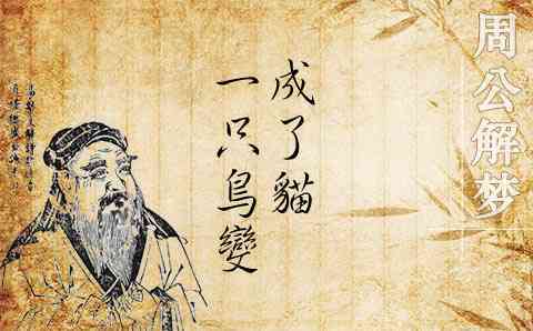 梦见一只鸟变成了猫