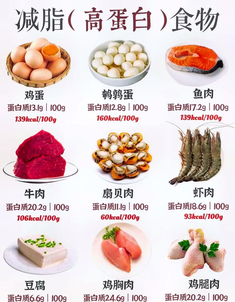 o型血减肥适合吃什么