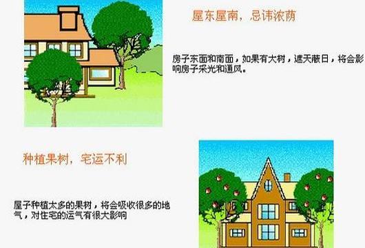 生肖属牛的人士买房风水禁忌楼层