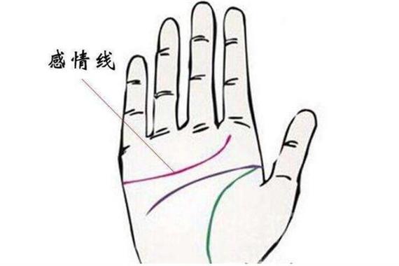 什么是感情线