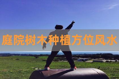 庭院栽树风水口诀大全