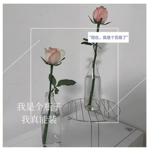 家里哪些东西应该扔掉